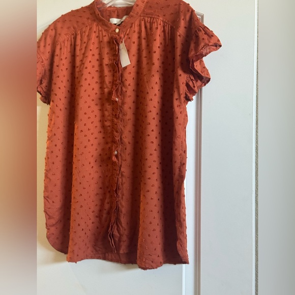 LOFT Terracotta Ruffle Button-Up Blouse-NWT -L - Picture 9 of 10